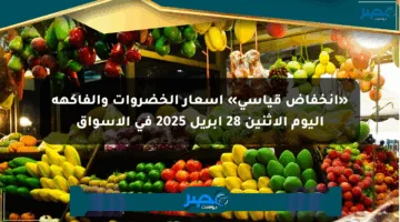«انخفاض قياسي» أسعار الخضروات والفاكهة اليوم الإثنين 28 أبريل 2025 في الأسواق